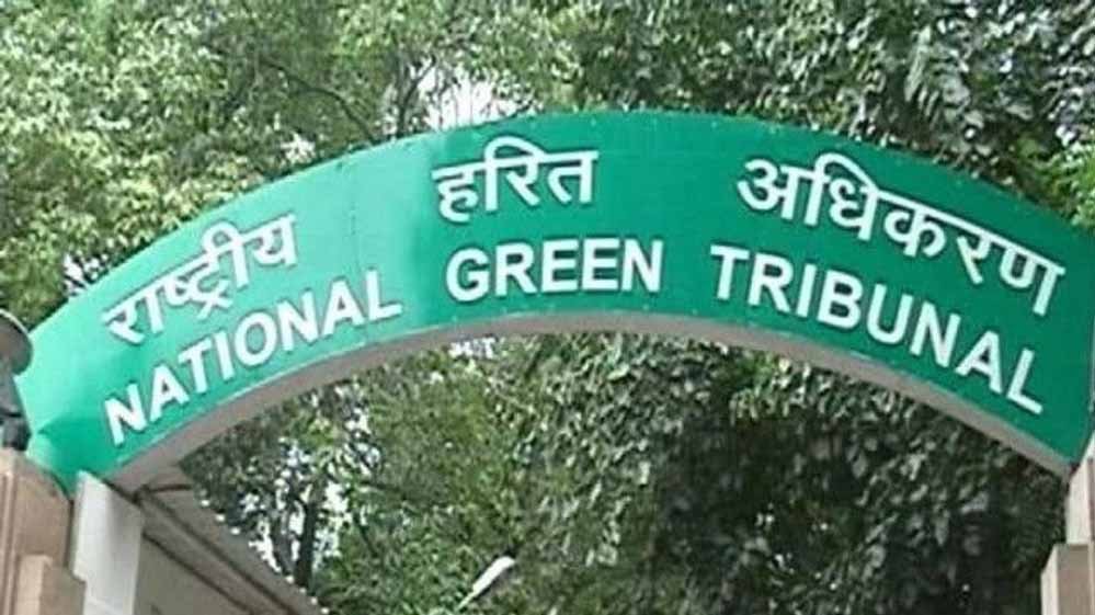 कलियासोत–भोज वेटलैंड मामला: एनजीटी ने प्रशासन को किया फटकार, अवैध कब्जे पर तत्काल कदम उठाने के निर्देश