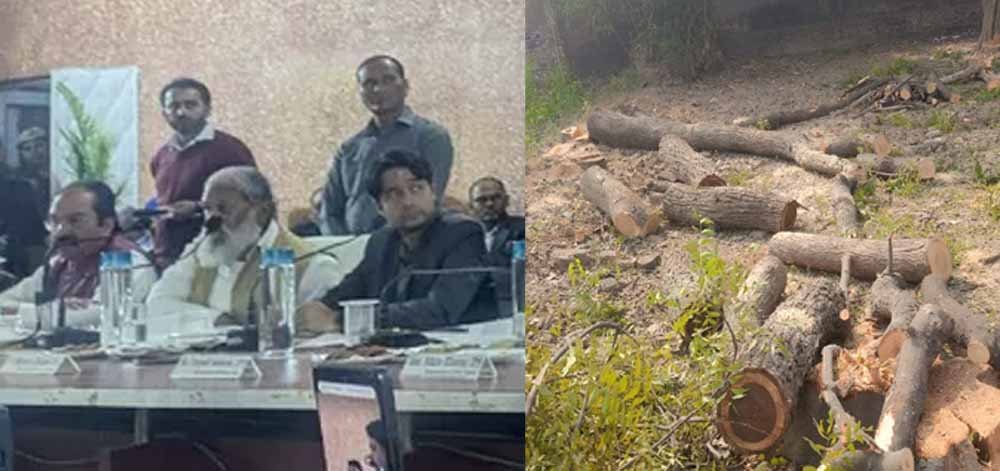 हरियाणा के मंत्री विज का बड़ा एक्शन, 31 पेड़ों की कटाई पर दो अधिकारी सस्पेंड