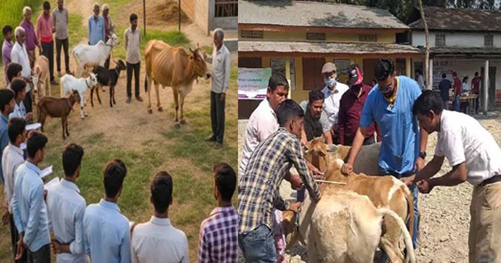 ग्रामीण युवाओं को रोजगार और पशु पालकों को होगा लाभ, बिहार में पशुपालन मित्रों की नियुक्ति