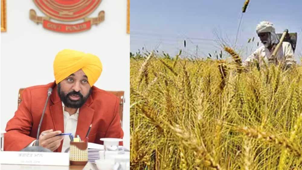 सीमावर्ती किसानों को सरकारी जमीन पर मुआवजे का मिलेगा हक, पंजाब सरकार का ऐतिहासिक फैसला