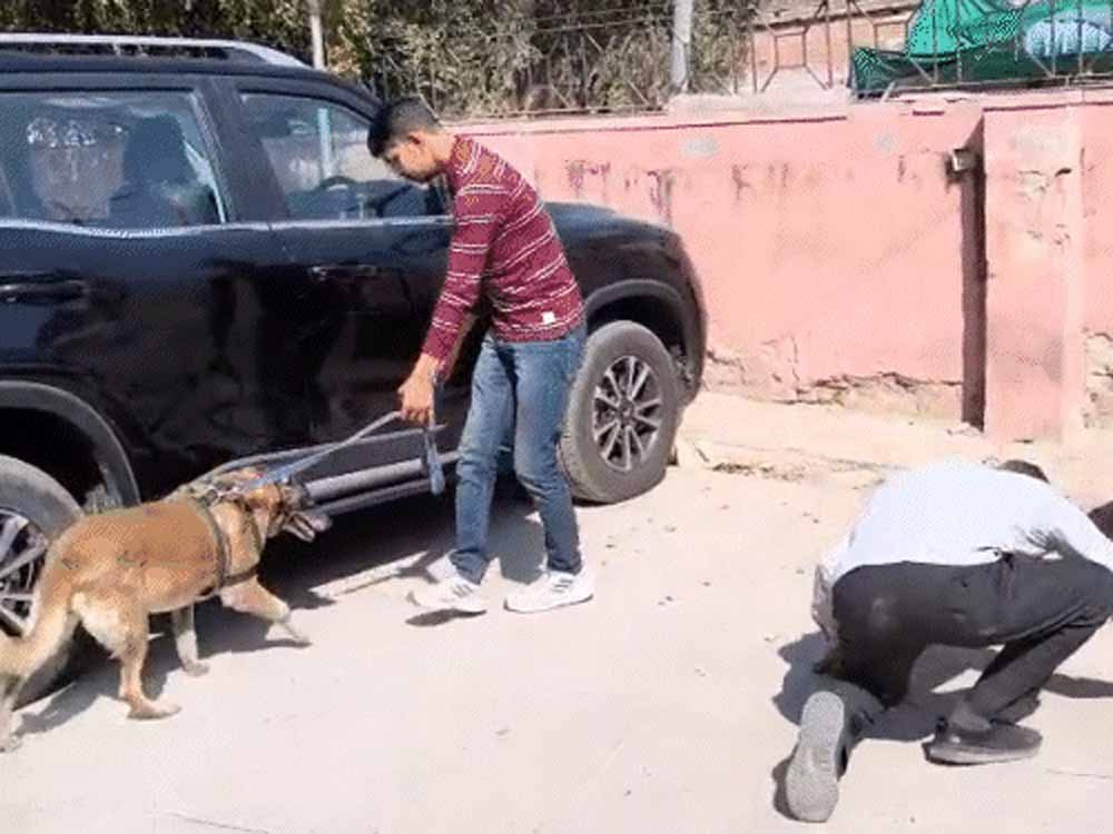 बीकानेर कोर्ट पर बम धमकी का मेल, पुलिस और सुरक्षा एजेंसियों ने शुरू की जांच