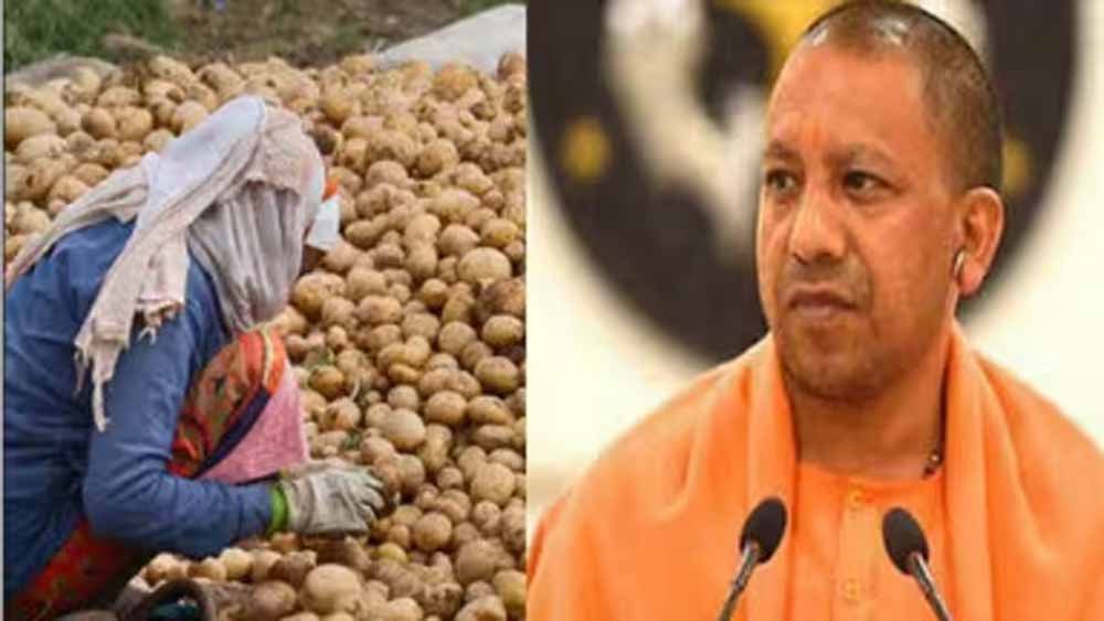 सीएम योगी से MSP दरें तय करने पर की चर्चा, किसानों से ₹1500 प्रति क्विंटल होगी आलू खरीदी!