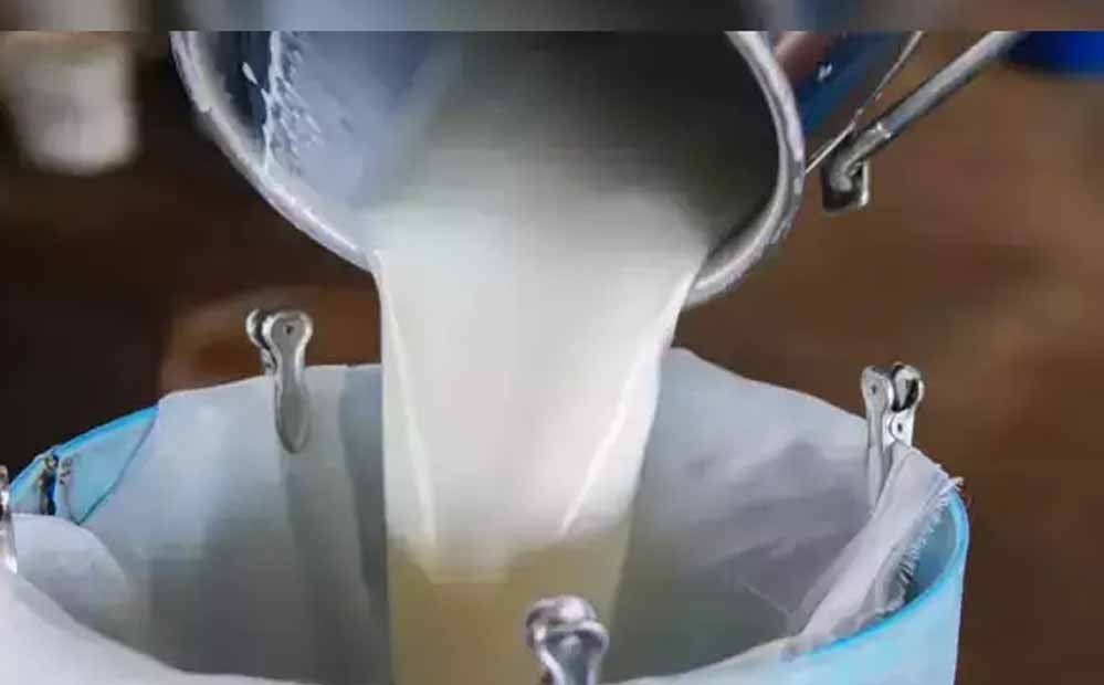 उत्तर प्रदेश राज्य आजीविका मिशन बन रहा तरक्की का आधार स्तंभ