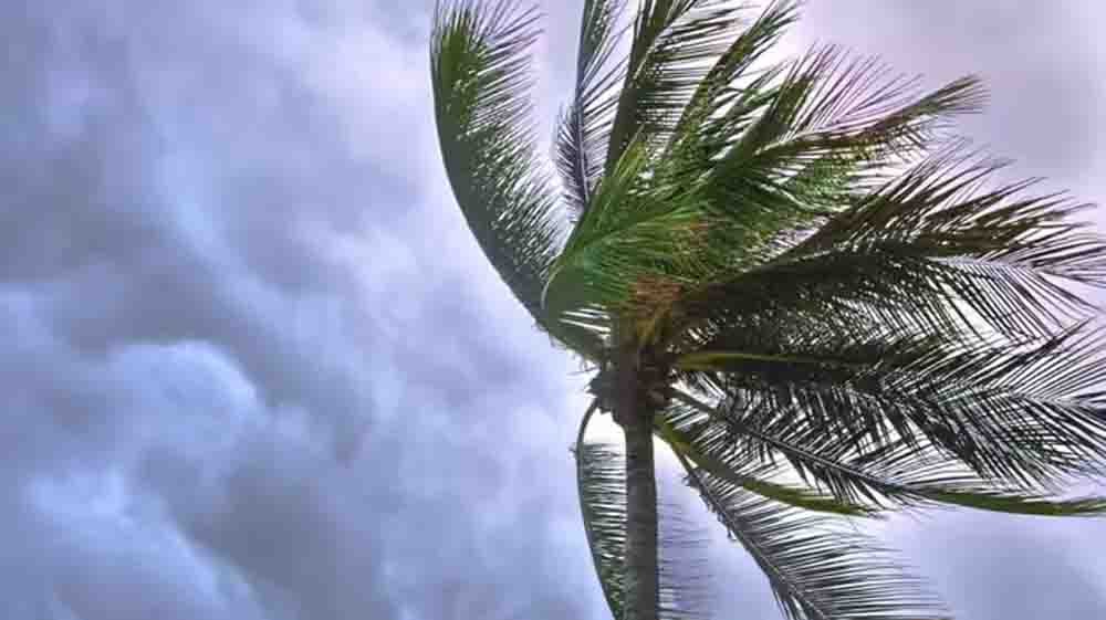 ओलों की सफेद चादर से फसलों को नुकसान, राजस्थान के 4 जिलों में भारी बारिश का अलर्ट, लुढ़का पारा