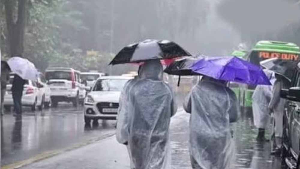 मौसम अलर्ट: हरियाणा के सात जिलों में बारिश, सिरसा में गिरे ओले, आगे भी बदलाव के संकेत
