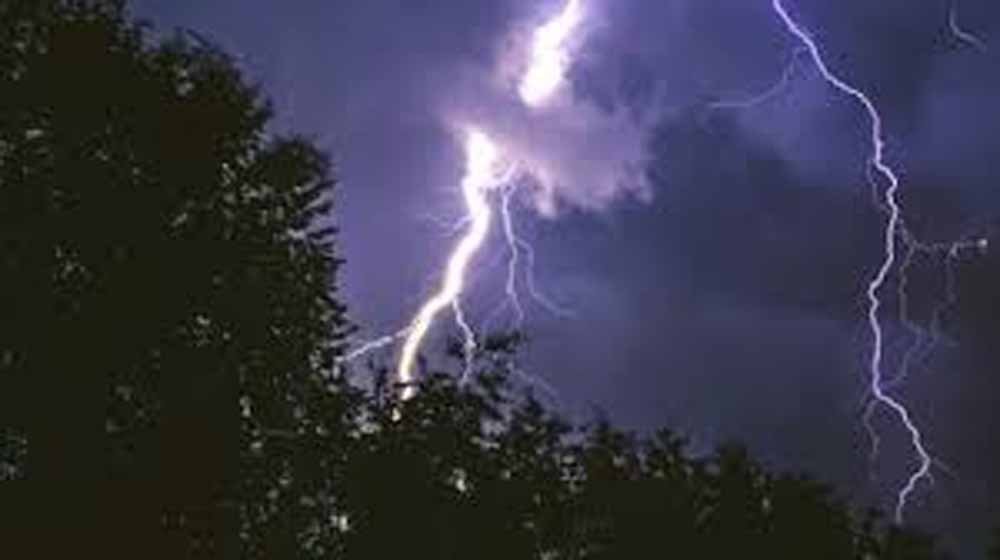 आंधी-बारिश से फसलों को भारी नुकसान, आम-लीची और सब्जियों पर असर
