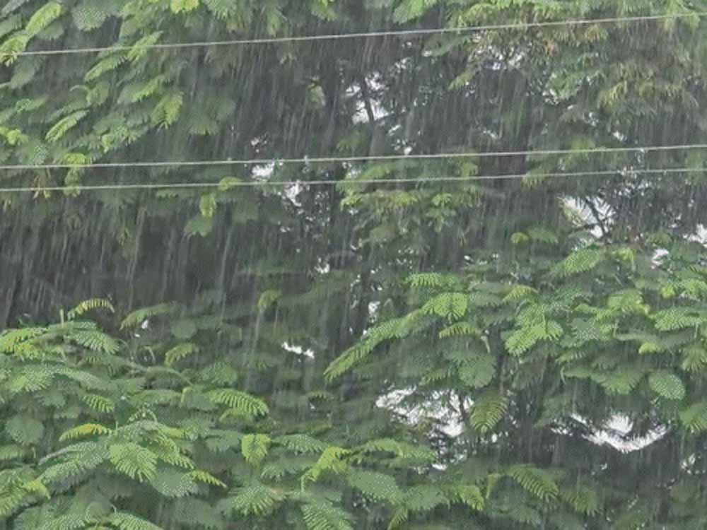 Rajasthan Weather Alert: पश्चिमी विक्षोभ से राहत, लेकिन आंधी-तूफान से नुकसान जारी