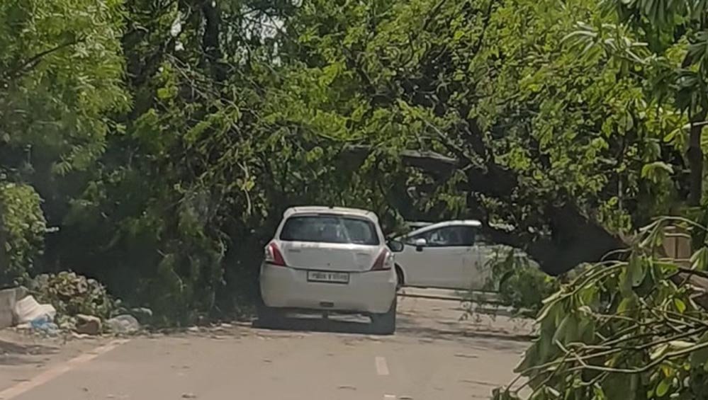 पंजाब-चंडीगढ़ में मौसम का प्रहार: 3 की मौत, करोड़ों का नुकसान; अगले 48 घंटे भारी बारिश-आंधी की चेतावनी