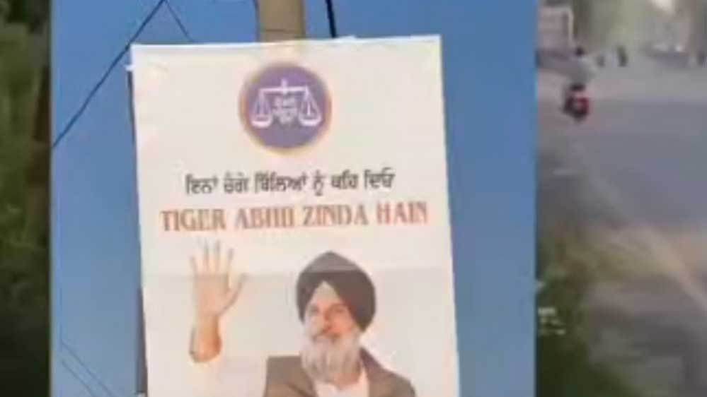 मजीठा में सियासी तापमान हाई: पोस्टरबाजी से बढ़ी राजनीतिक तकरार, ‘टाइगर अभी जिंदा है’ की एंट्री