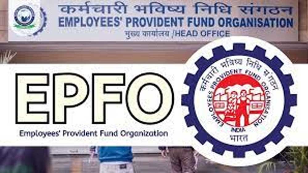 पीएफ खाते में जल्द आएगा ब्याज का पैसा! EPFO ने इंटरेस्ट क्रेडिट को लेकर दी बड़ी जानकारी
