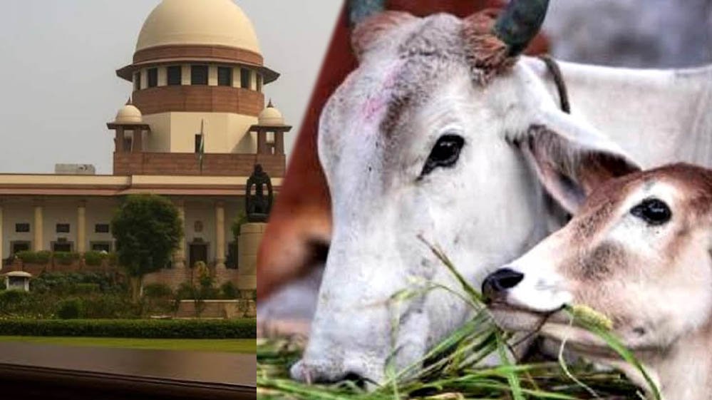 तमिलनाडु गौहत्या विवाद में सुप्रीम कोर्ट का हस्तक्षेप, राज्य सरकार की मांग को मिली राहत, HC का आदेश बदला