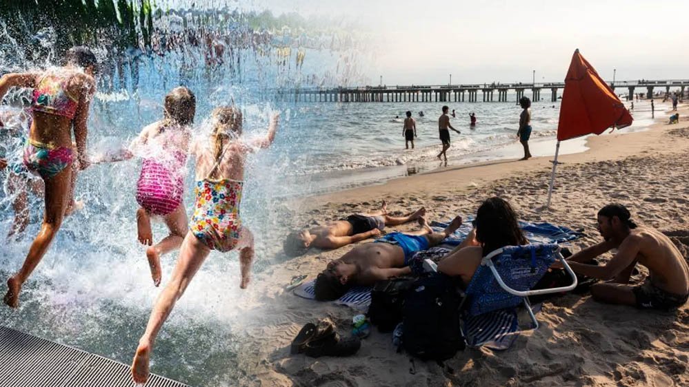 America Weather Alert: 115°F जैसी महसूस हो रही गर्मी, भीषण हीटवेव से 6 करोड़ लोगों पर संकट