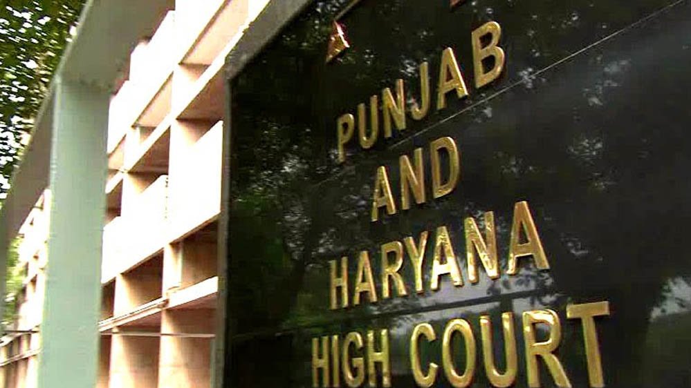 LADC Policy Row: पंजाब-हरियाणा हाई कोर्ट में वकीलों की हड़ताल, प्रदर्शन के चलते आज कामकाज बाधित