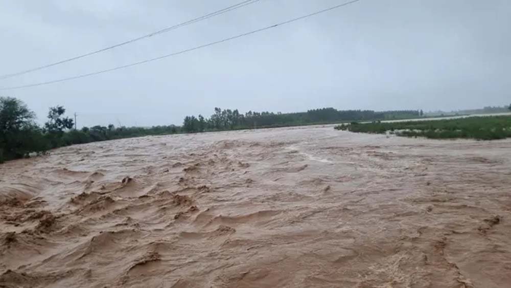 यमुना में बढ़ा पानी, दिल्ली तक 72 घंटे में पहुंचेगा हथनीकुंड का जल