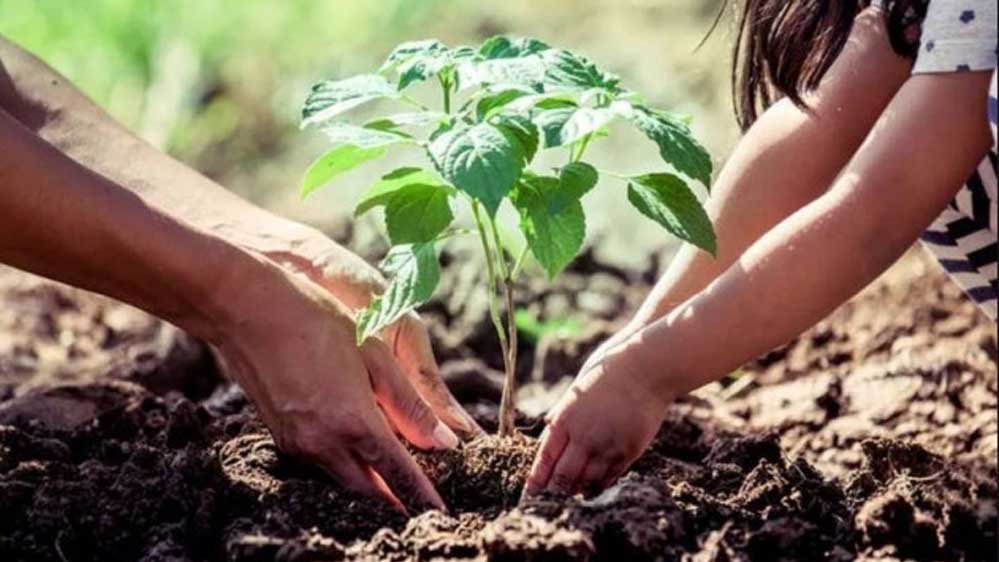 जुलाई में विद्यालयों में चलेगा पर्यावरण संरक्षण महाअभियान, ‘एक पेड़ मां के नाम 3.0’ को मिलेगा विस्तार