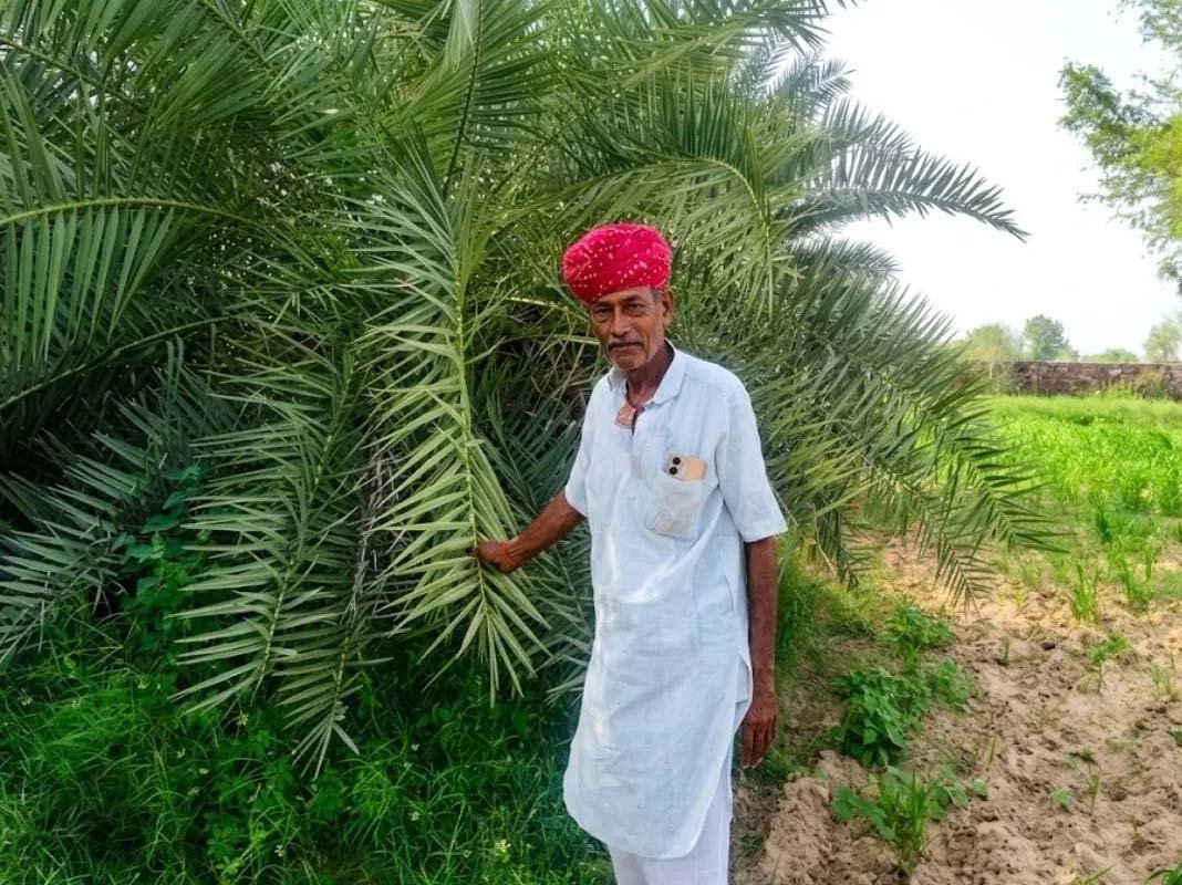 खजूर, गोंदा और सब्जियों की एकीकृत खेती से बदली किस्मत, हर साल लाखों की शुद्ध आय