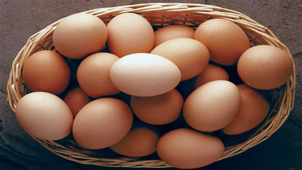 अब अंडे ने भी रुलाया! कीमतों में उछाल का इथेनॉल से क्या है कनेक्शन?