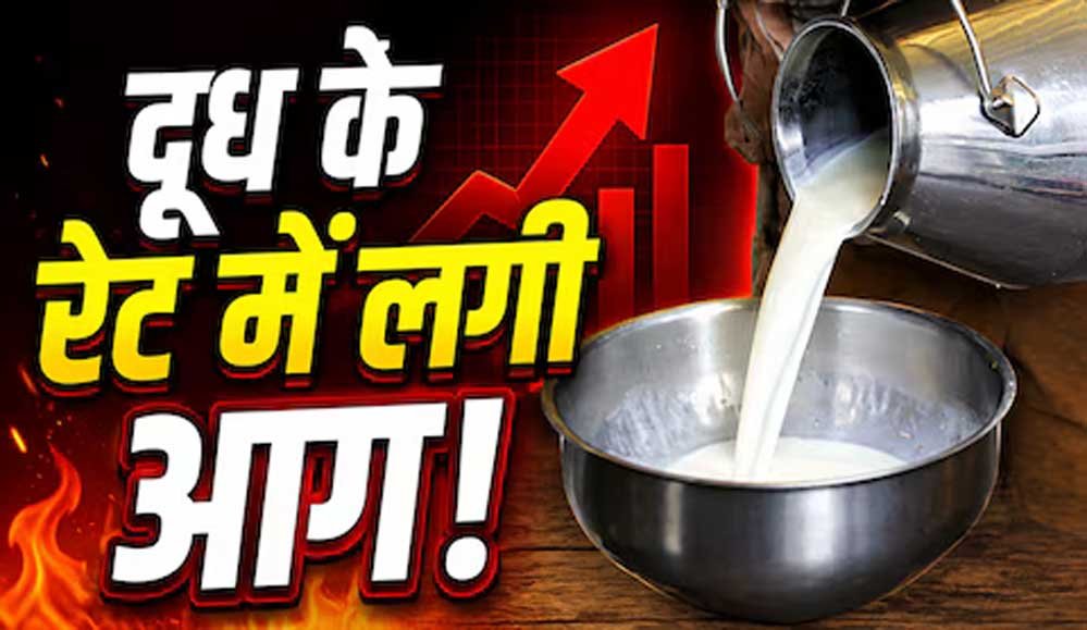 त्योहारों से पहले महंगाई की मार! दूध के दाम ₹9 बढ़े, जानें कब से लागू होंगी नई कीमतें