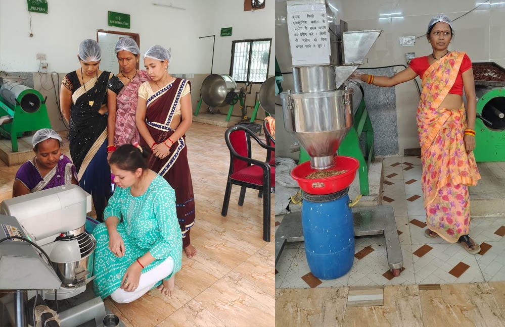 महुआ बना महिलाओं की आजीविका का सहारा, वन धन योजना से मिली नई पहचान और आर्थिक मजबूती