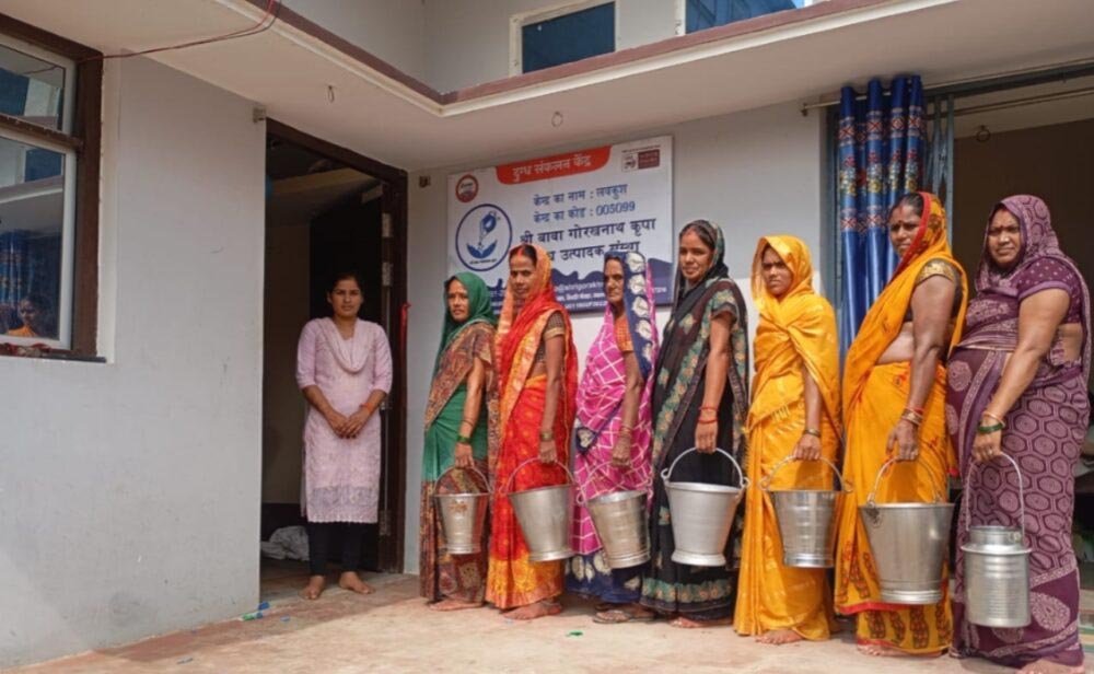 महिलाओं की मेहनत से बदली गांवों की तस्वीर, 31 जिलों में रोज 12.5 लाख लीटर दूध का कारोबा