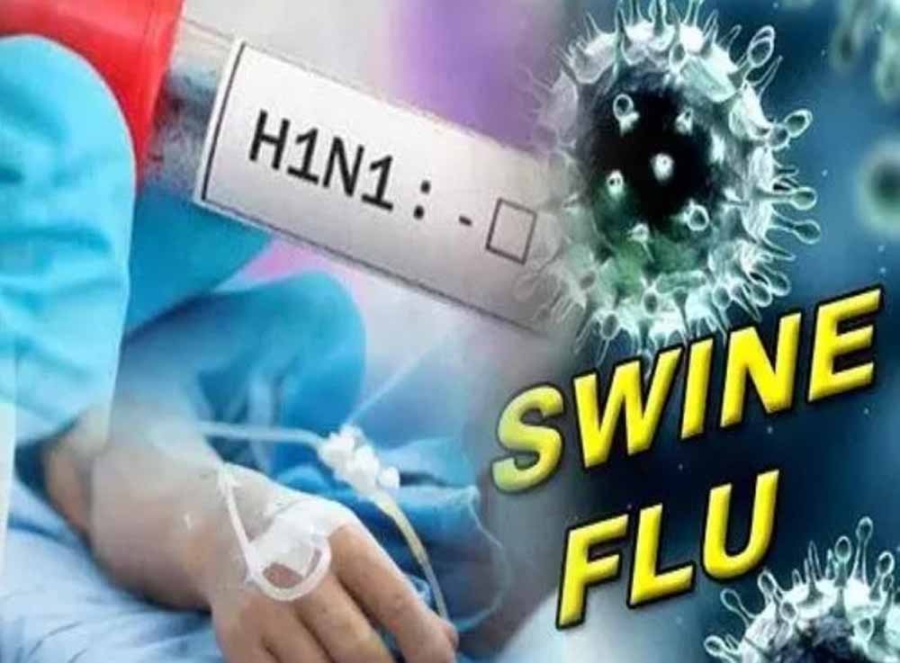 स्वाइन फ्लू के 4 केस मिलने से स्वास्थ्य विभाग अलर्ट, पंजाब में बढ़ी सतर्कता