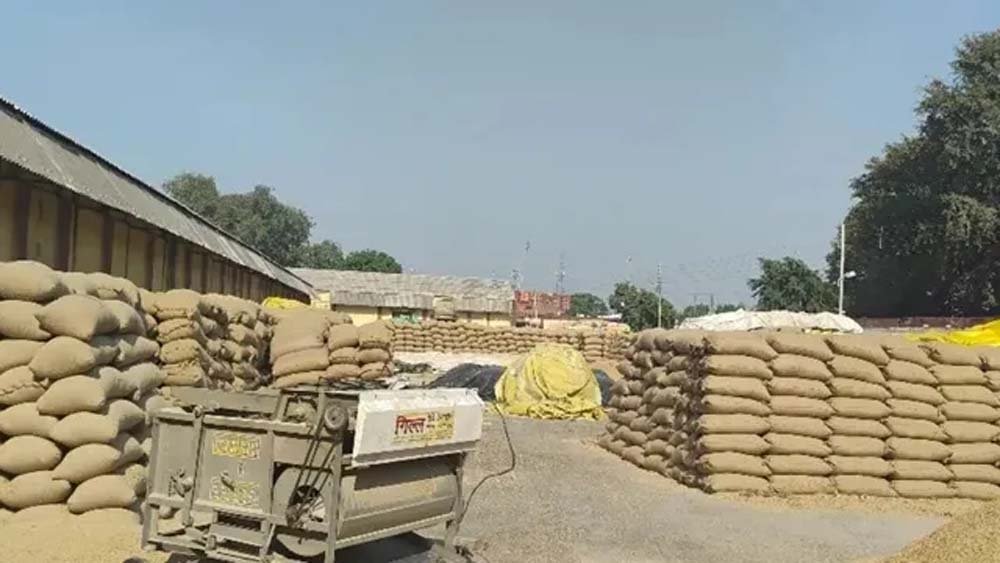 धान का भाव ₹4345 तक पहुंचा, लेकिन सरकारी खरीद में अड़चन; राइस मिलर्स ने बढ़ाई चिंता