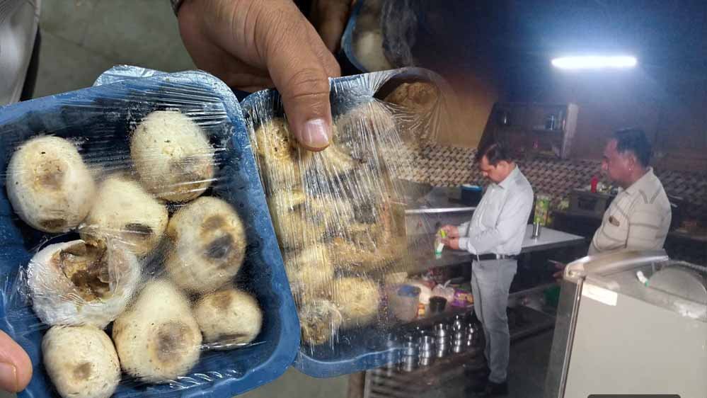 भोपाल में खाद्य सुरक्षा टीम का बड़ा एक्शन, होटल-रेस्टोरेंट की रसोई से सड़ा खाना और कीड़े बरामद