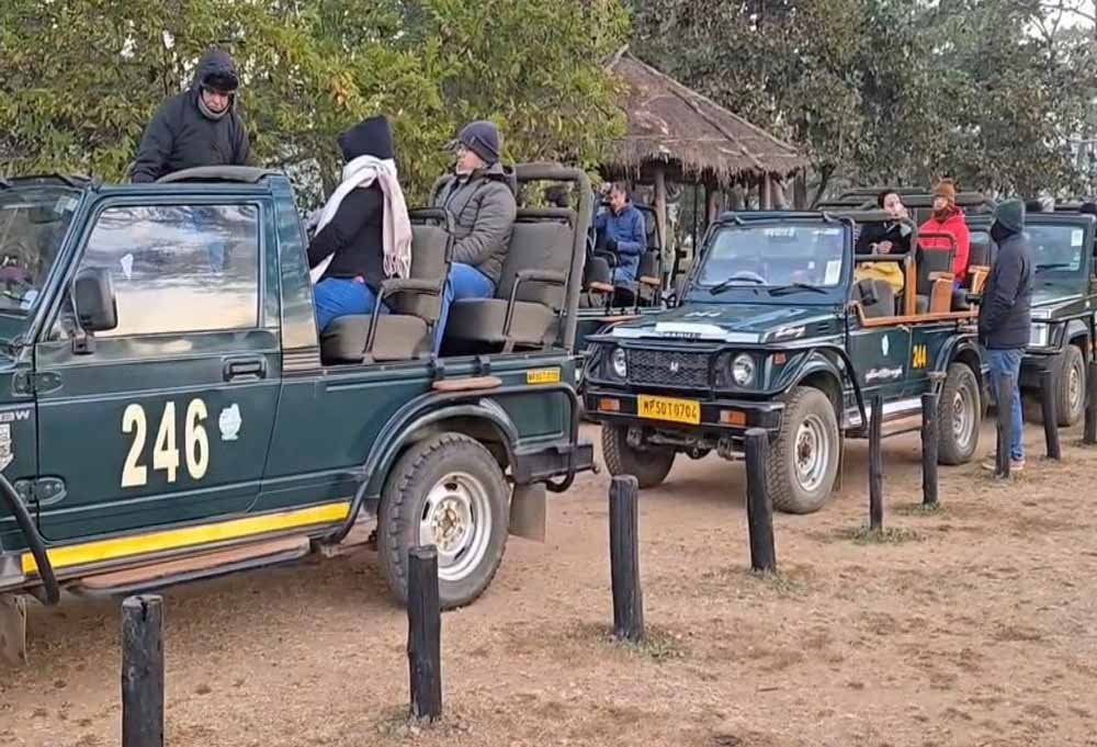 1 अक्टूबर से कान्हा में नया पर्यटन सत्र, सफारी के लिए HSRP जरूरी; वाहन मालिकों को खुद कराना होगा रजिस्ट्रेशन