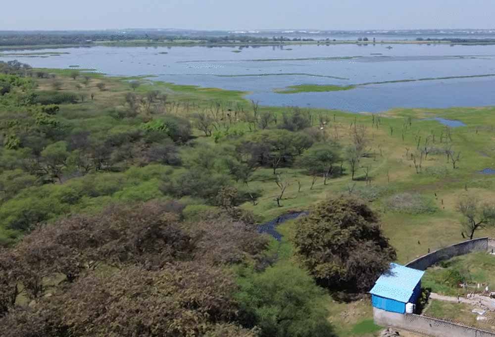 भोपाल में तालाब किनारे कब्जों पर NGT सख्त, सर्वे रिपोर्ट आज होगी पेश; कई फार्म हाउस और रेस्टोरेंट मिले
