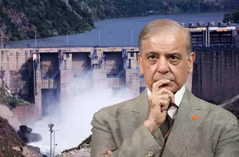 सिंधु जल संधि पर पाकिस्तान का दांव पड़ा उल्टा, अमेरिकी मंच पर इंटरनेशनल एक्सपर्ट नहीं पहुंचे