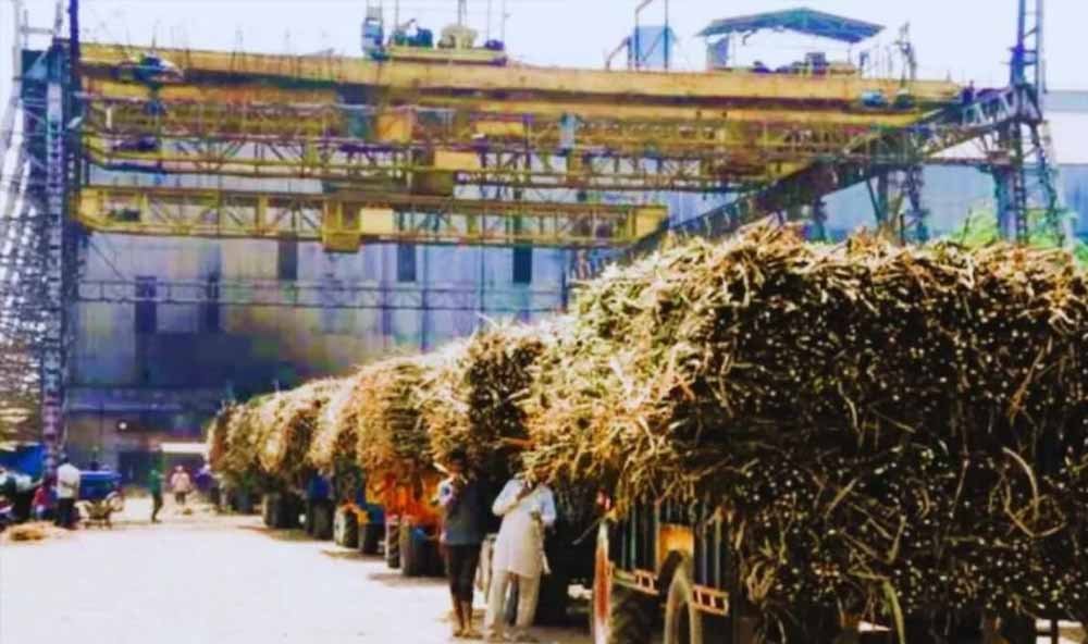 गन्ना किसानों का पूरा भुगतान, 102 चीनी मिलों ने किया शत-प्रतिशत गन्ना मूल्य भुगतान
