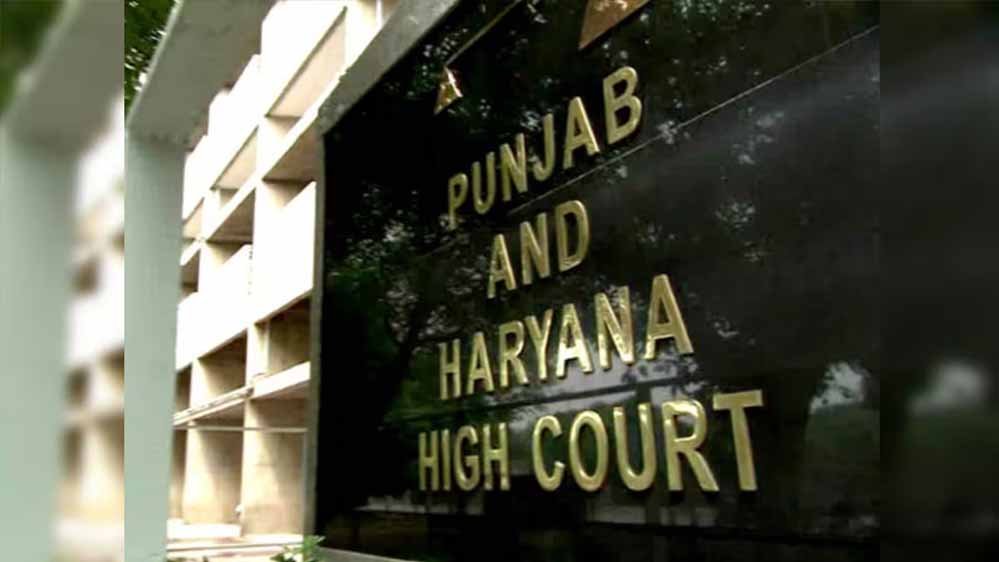 सेना से 7 साल में निकाले गए जवान की विधवा को बड़ी राहत, हाईकोर्ट ने 42 साल बाद पेंशन का हक माना