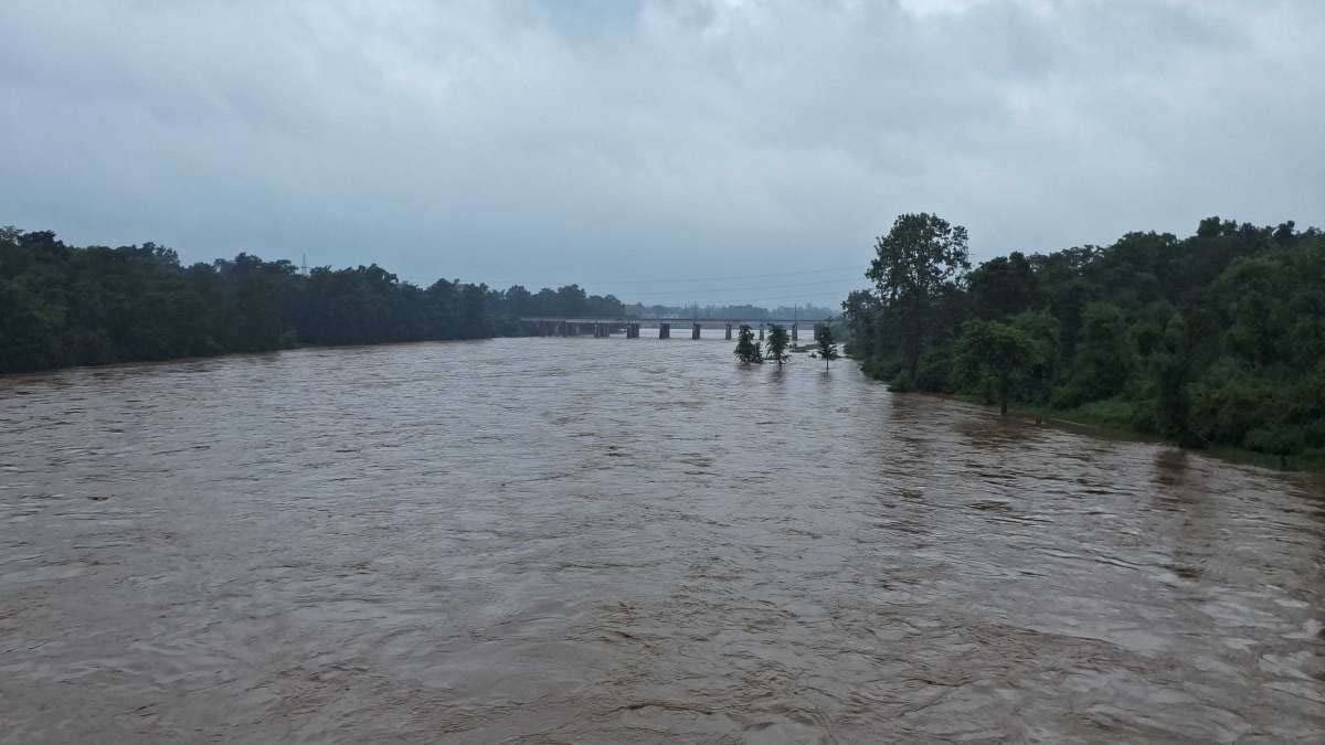 लगातार बारिश से झारखंड में जलजमाव, सोन नदी का बढ़ा जलस्तर, ग्रामीणों को चेतावनी
