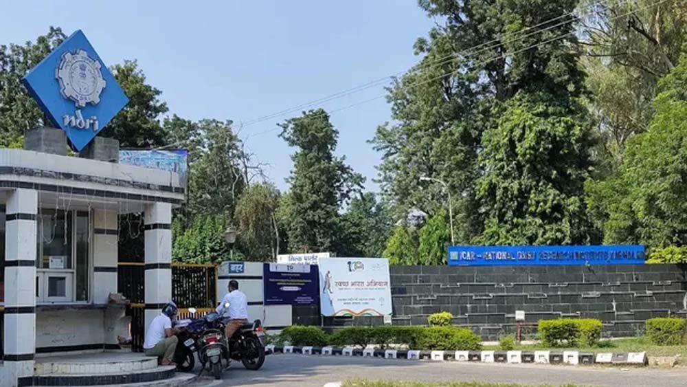 न लैब की जरूरत, न रिपोर्ट का इंतजार; दूध में फार्मेलिन बताएगी नई स्ट्रिप