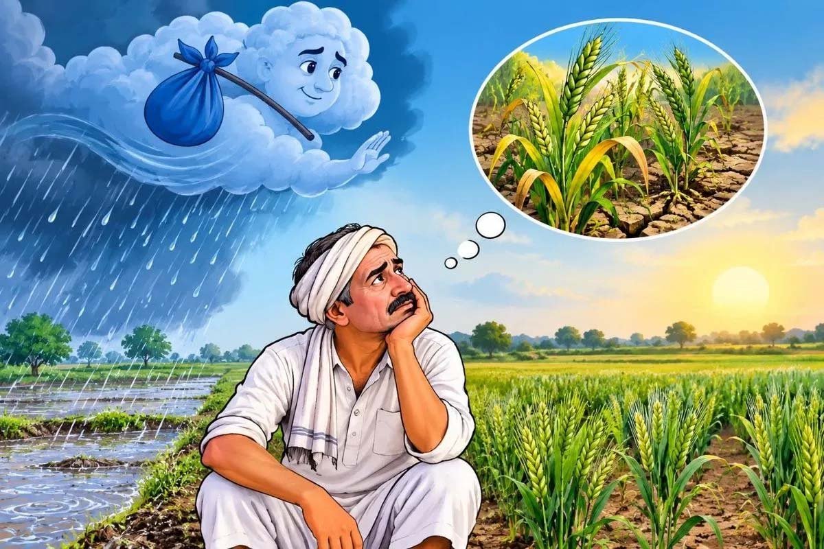 खंडवा में सितंबर में सिर्फ 86 मिमी बारिश, गेहूं-चना की सिंचाई पर संकट