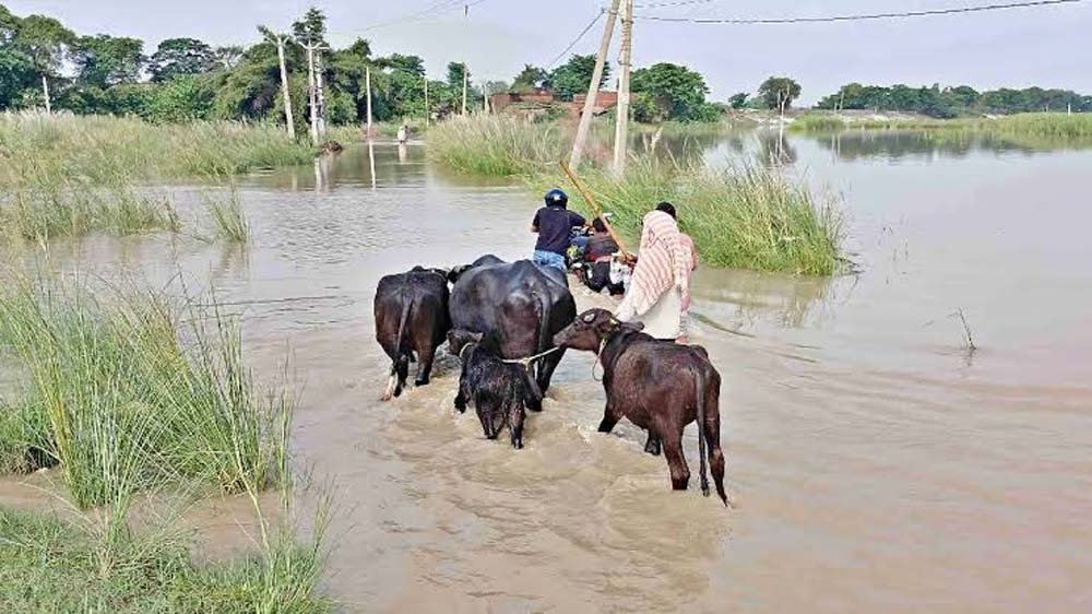गंडक का जलस्तर बढ़ा, बगहा में घरों में घुसा पानी; रेलवे ट्रैक पर शरण लेने को मजबूर लोग