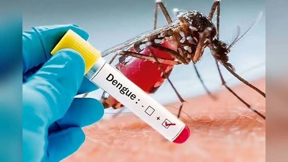 डेंगू को लेकर पटना में अलर्ट, PMCH-IGIMS में मरीज भर्ती; इन इलाकों में ज्यादा केस