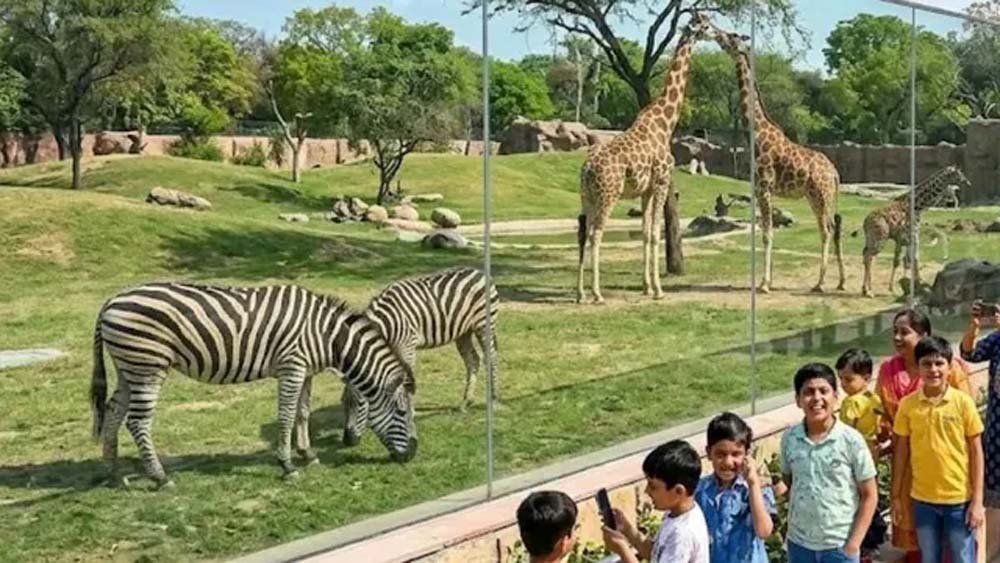 बच्चों से बड़ों तक सबकी मौज, हरियाणा के चिड़ियाघरों में एक हफ्ते नहीं लगेगा टिकट