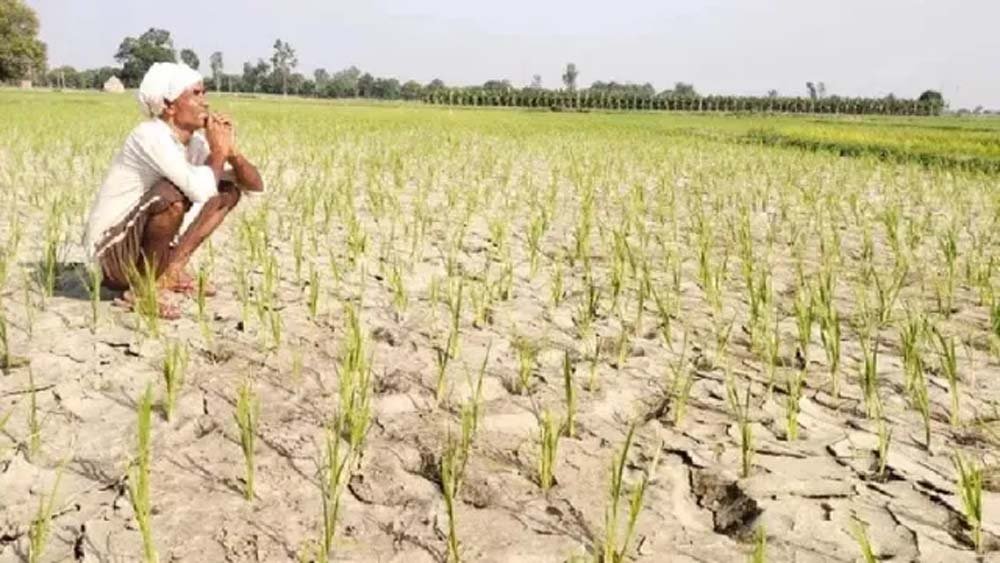 मानसून की विदाई के साथ बढ़ी गर्मी, गुरुग्राम में 38.2°C; 25 सितंबर से बूंदाबांदी के आसार