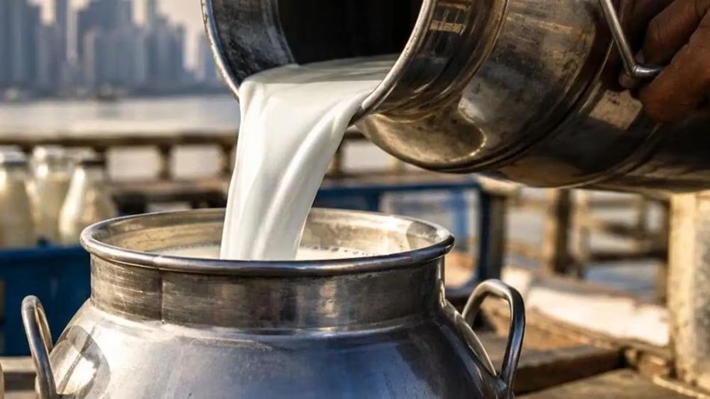 पशुपालकों का बड़ा फैसला, 1 अक्टूबर से दूध और घी के दामों में होगी बढ़ोतरी