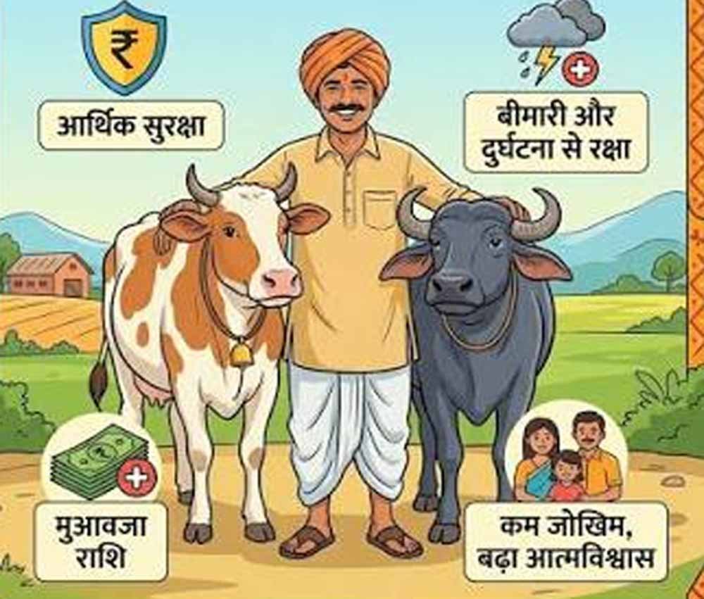 पशुधन बीमा योजना से किसानों को सहारा, हरियाणा में 19.19 लाख पशु बीमित
