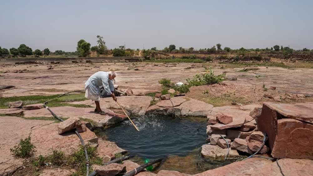 बारिश में 23% की कमी, हरियाणा में कमजोर मानसून का फसलों पर असर!