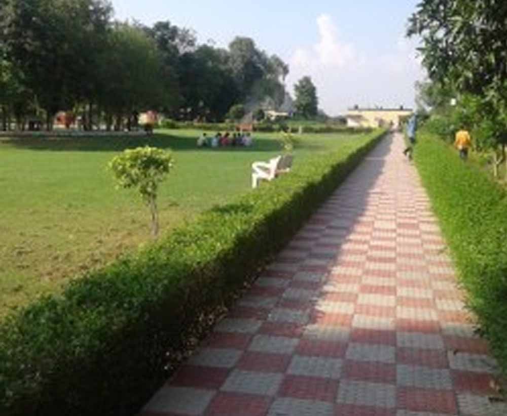 पार्कों के विकास पर खर्च होंगे ₹1.58 करोड़, झज्जर में बढ़ेगी हरियाली और सुविधाएं