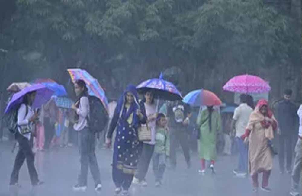 हरियाणा में बदला मौसम का मिजाज, 6 जिलों में आज वर्षा का अलर्ट; मानसून हुआ एक्टिव