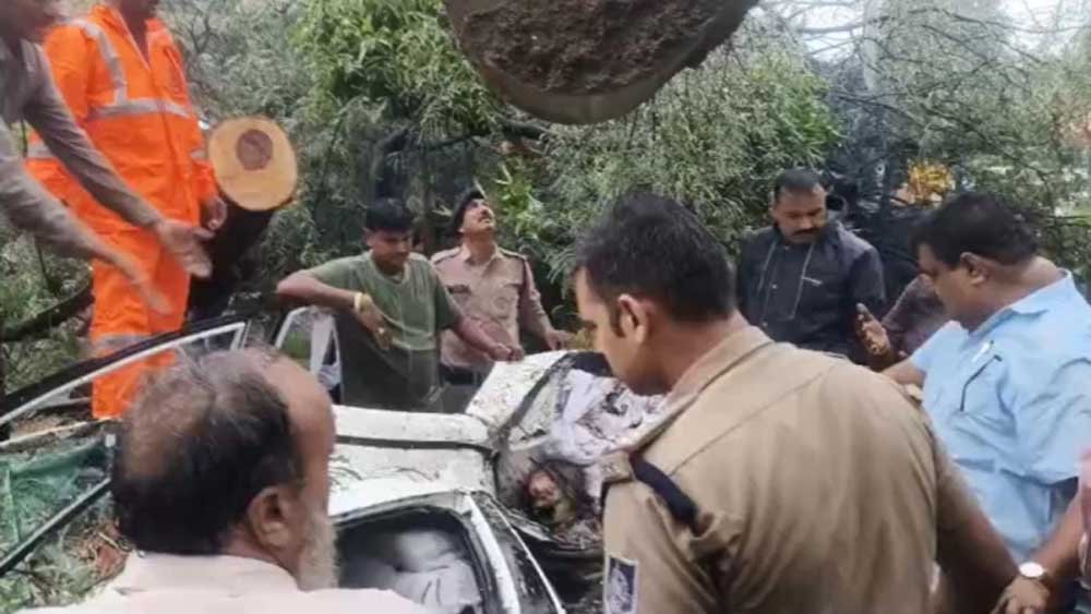 कार पर पेड़ गिरने से मची चीख-पुकार, डिप्टी कलेक्टर की मां की मौत; परिवार के दो लोग घायल