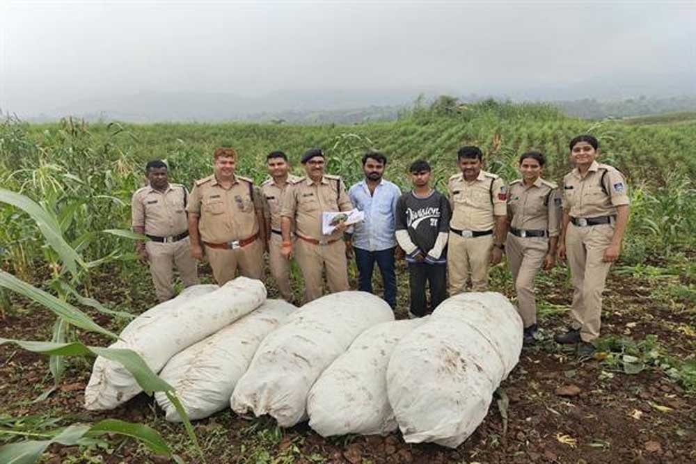 बड़वानी, खरगोन एवं खंडवा जिले के 400 से अधिक पुलिसकर्मियों की 12 टीमों ने 19 गांवों में एक साथ चलाया सघन सर्चिंग अभियान
