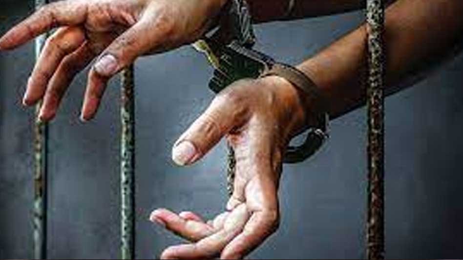 फरीदकोट में बड़ी कार्रवाई, 10 पिस्टल बरामद; हथियार तस्करी गिरोह के 3 आरोपी दबोचे
