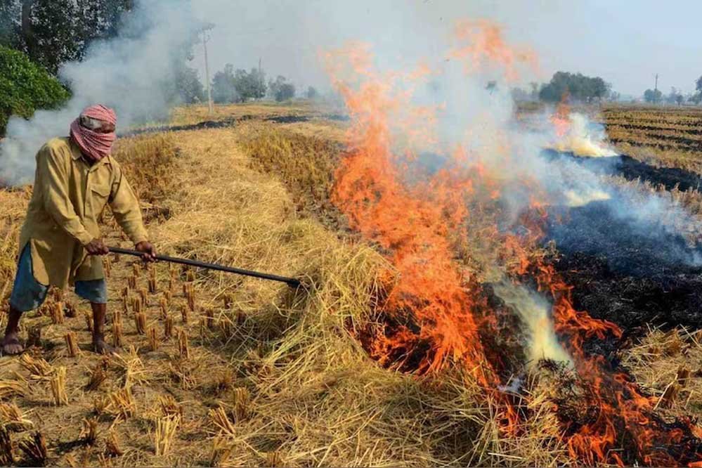 विदिशा में पराली से बनेगी CBG, किसानों को मिलेगा कृषि अवशेषों का दाम; जल्द लगेगा प्लांट