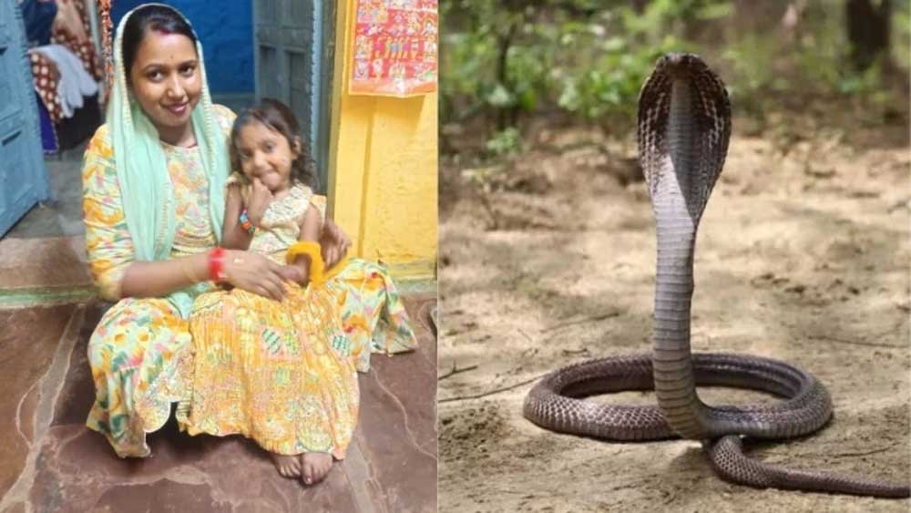 सर्पदंश से मासूम की मौत पर बवाल, परिजनों ने वेंटिलेटर के लिए पैसे मांगने का लगाया आरोप