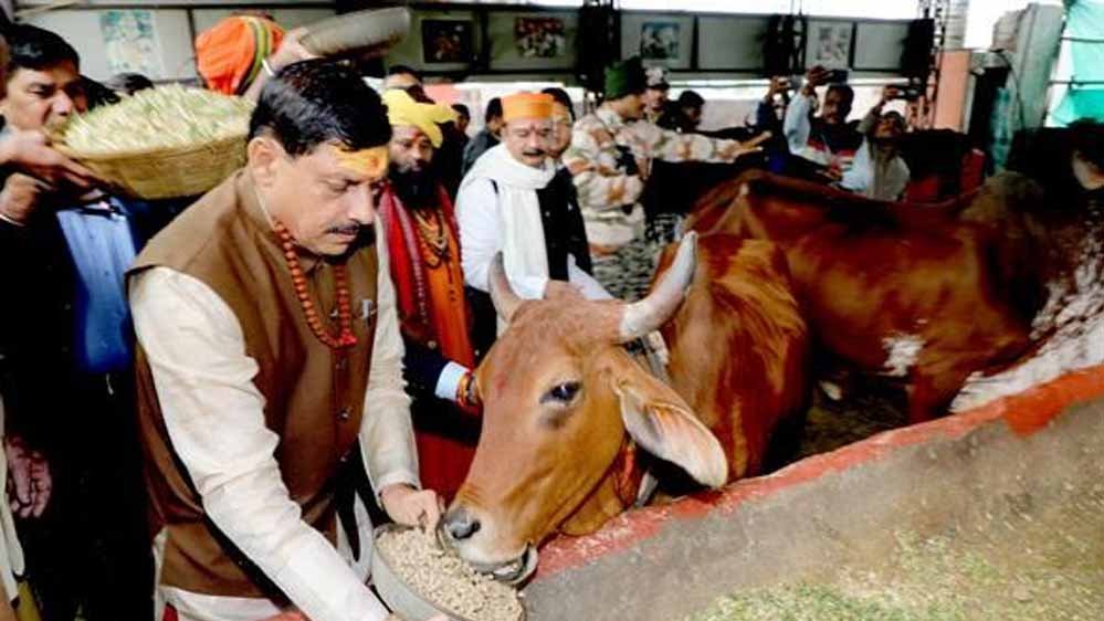 भोपाल में आदर्श गौशाला को लेकर CM डॉ. यादव सख्त, जल्द कार्य पूरा करने के निर्देश